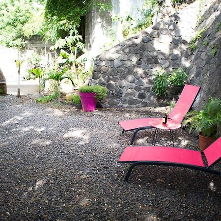 Le Bambou T3 Centre Ville Sainte Clotilde Rez De Jardin Bois de Nefles  Esterno foto